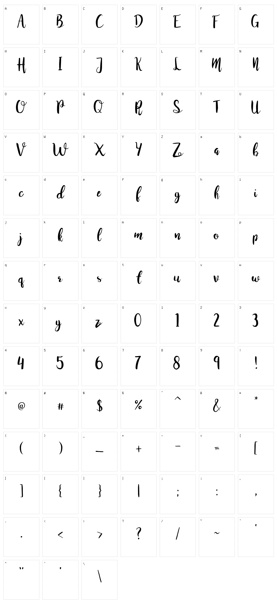 Juanita Brush Script Character Set