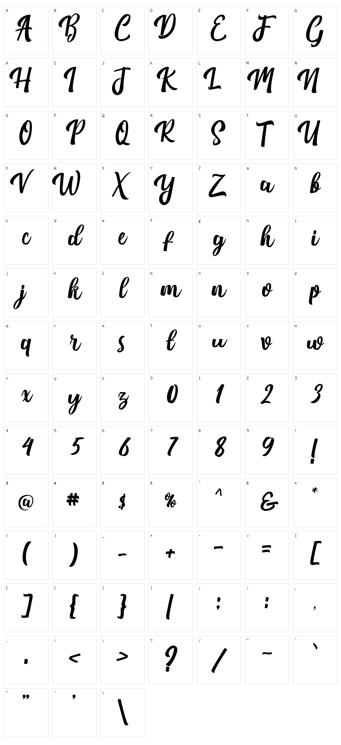 Nichole Script Character Set