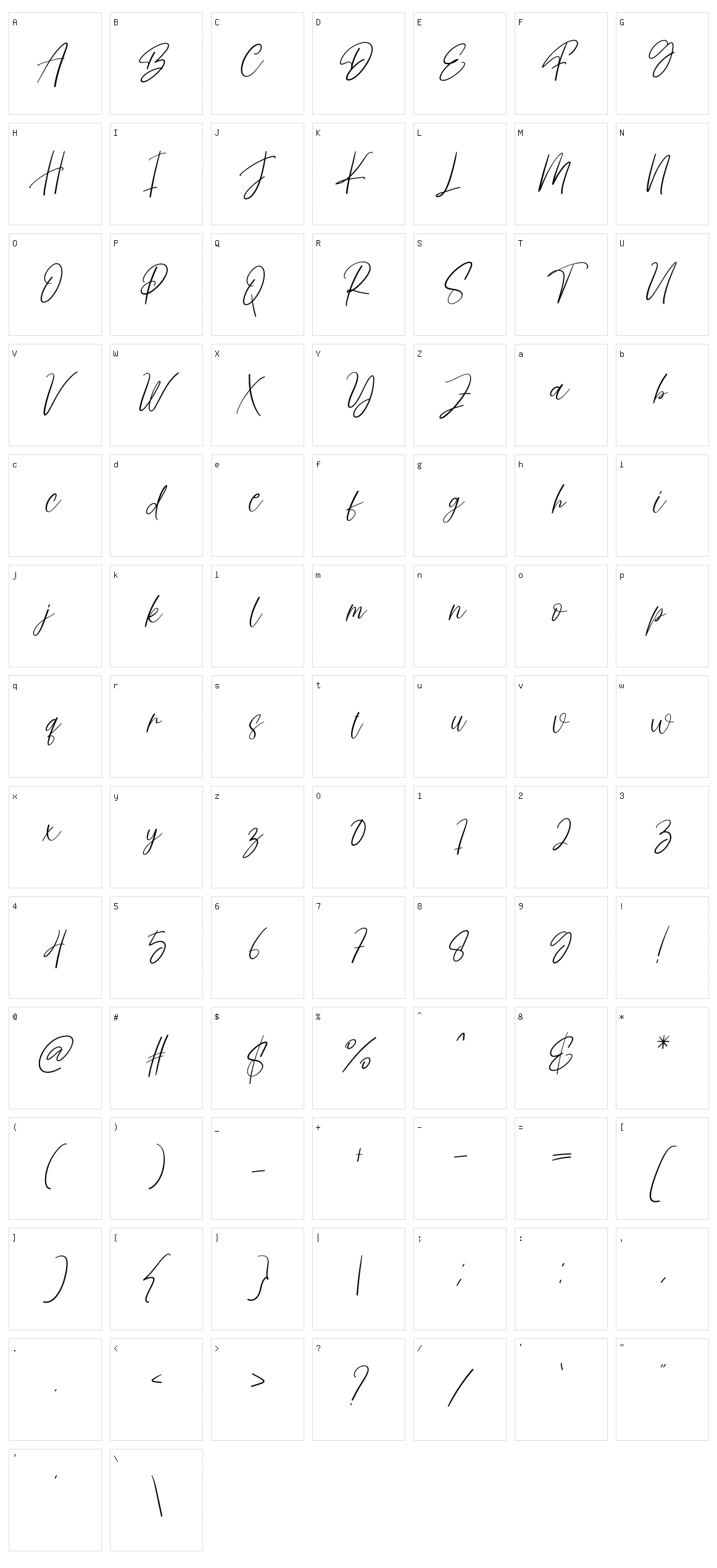 Doctor Signature Character Set