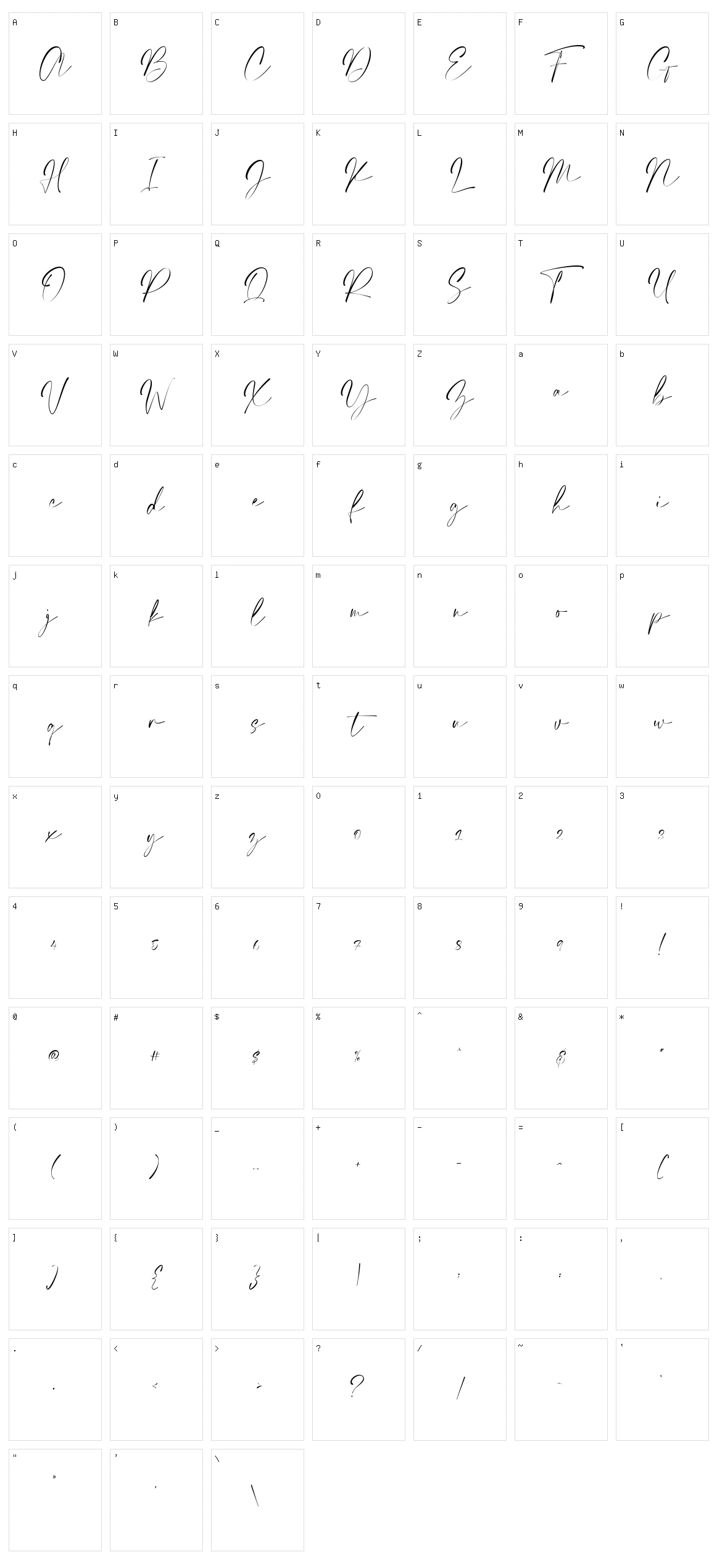 Elegant Signature Character Set