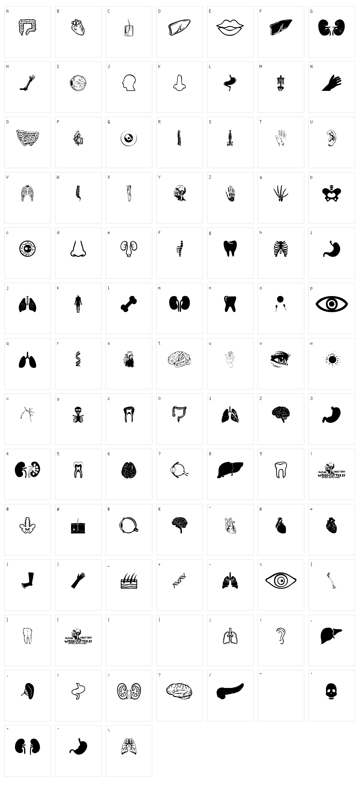 Human Anatomy Character Set