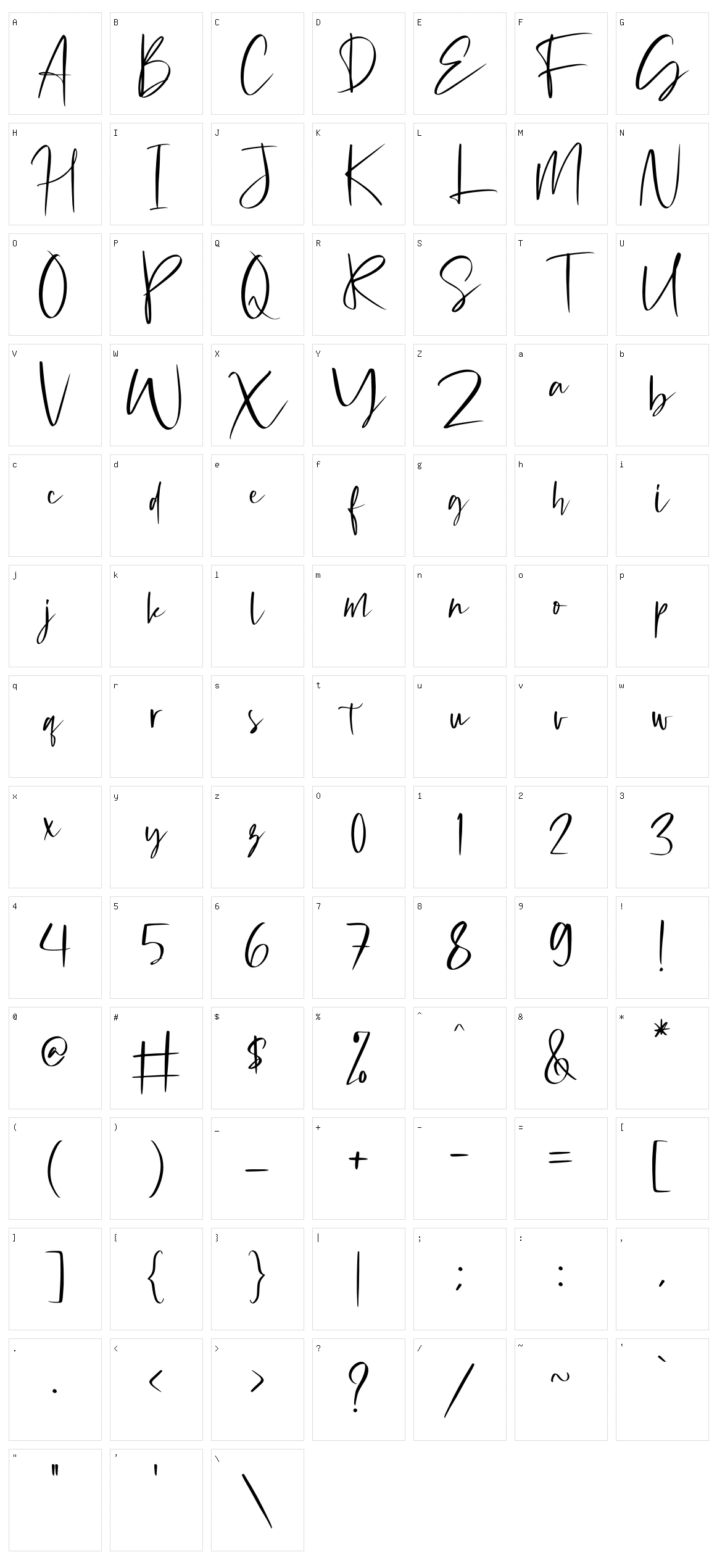 Michigan Custom Character Set