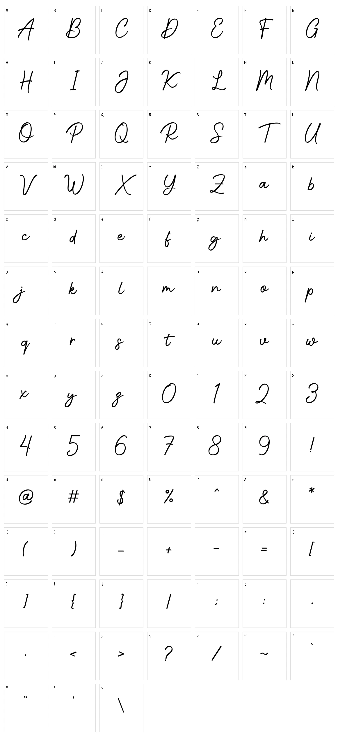 Photoshoot Character Set