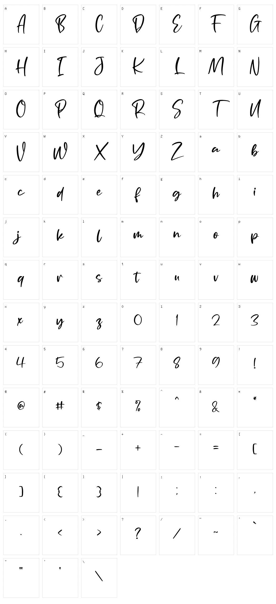 Portofolio Brilliant Character Set