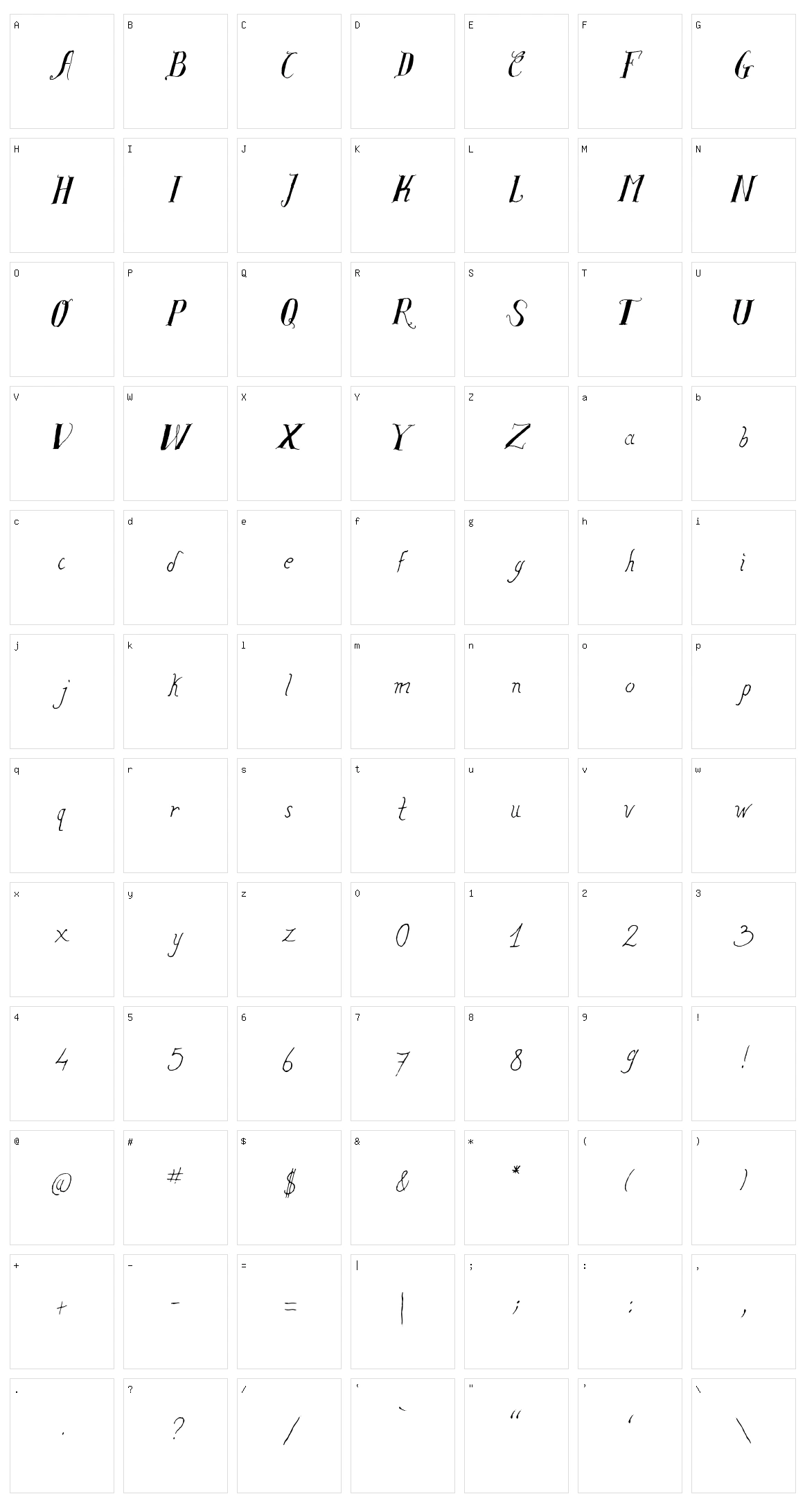 Salvat Study Character Set