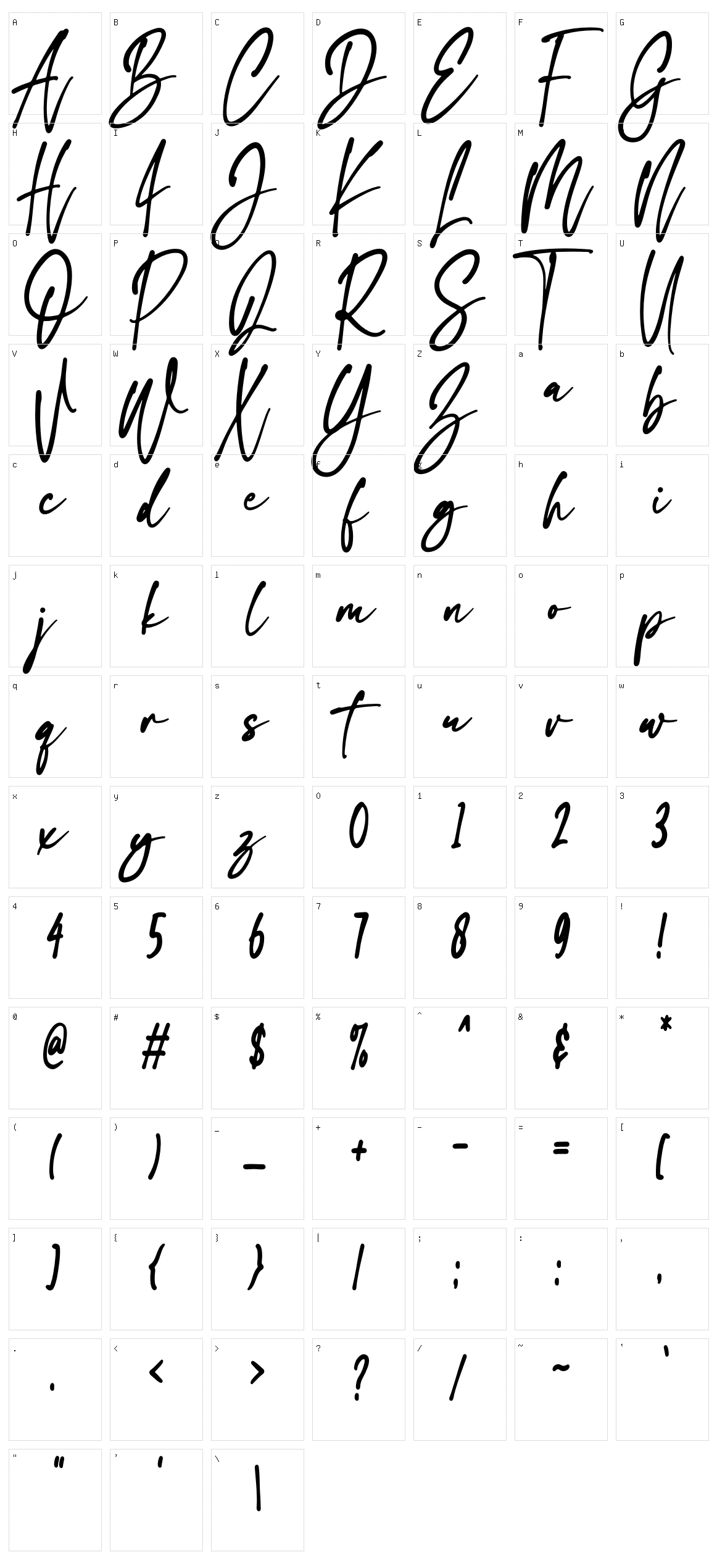 The Flash Character Set