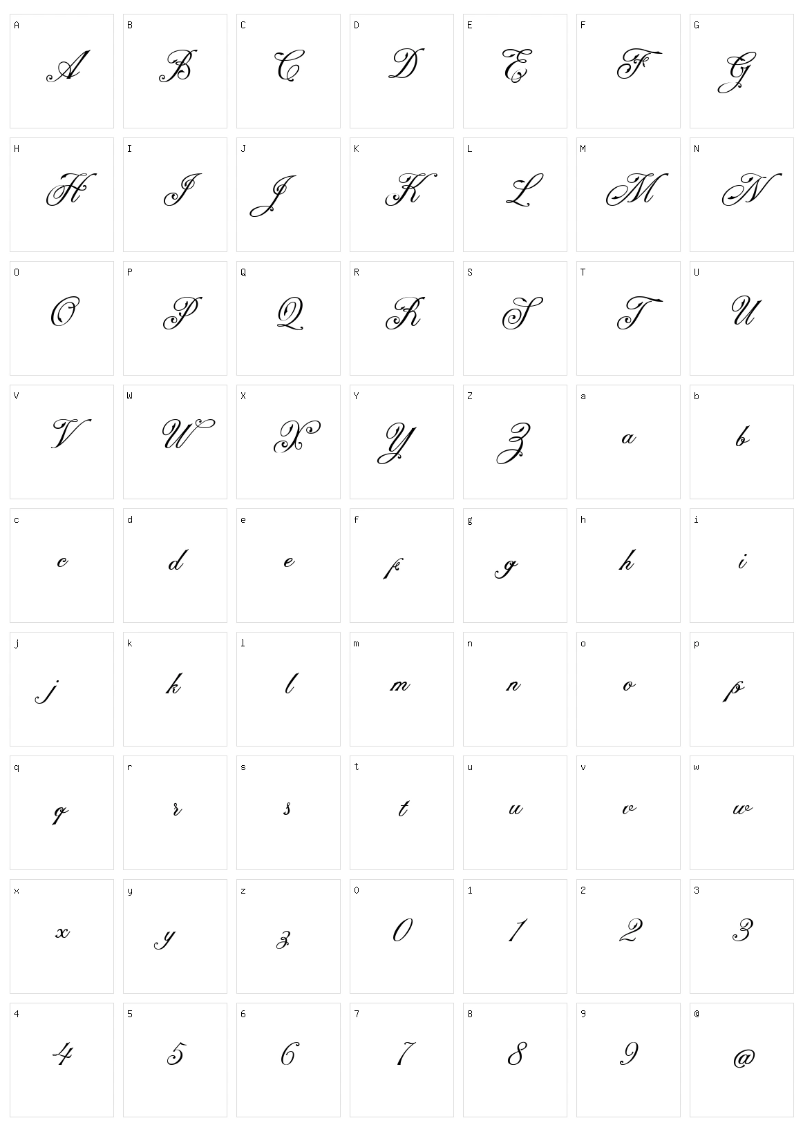 NS Champtone Script Character Set