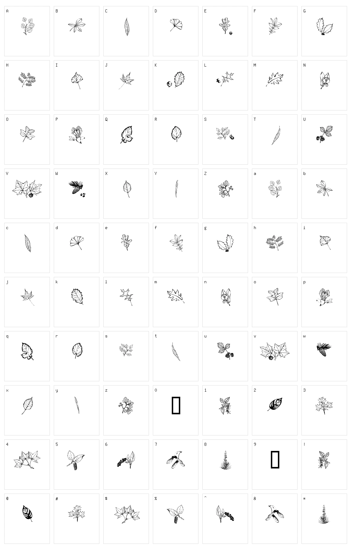 Arboris Folium Character Set
