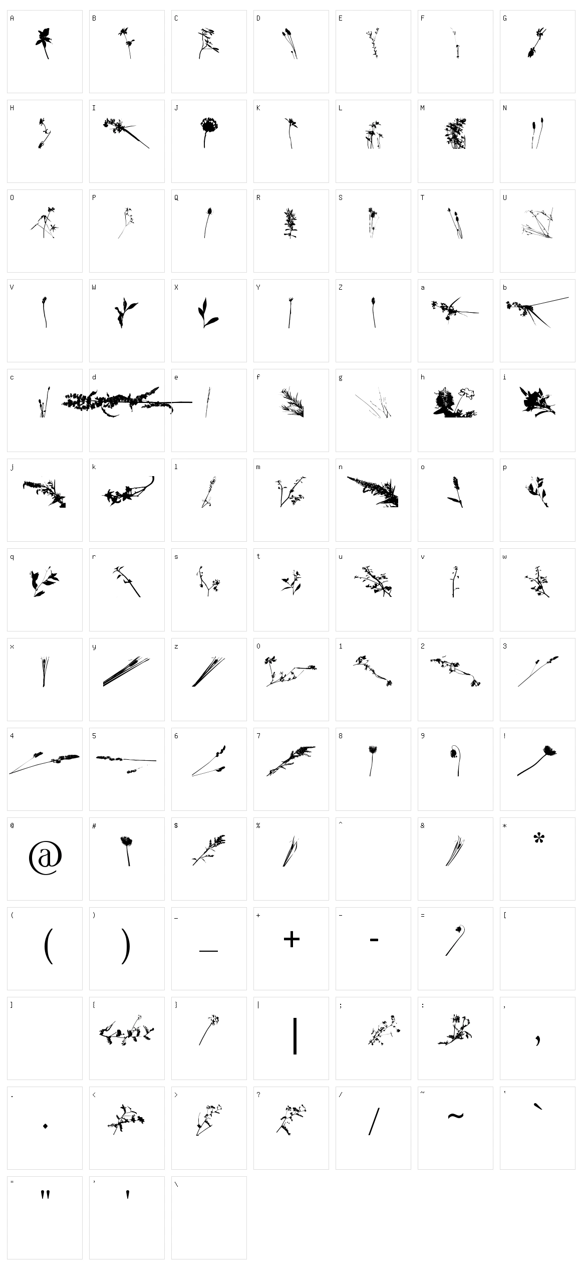 Floral Flush Character Set