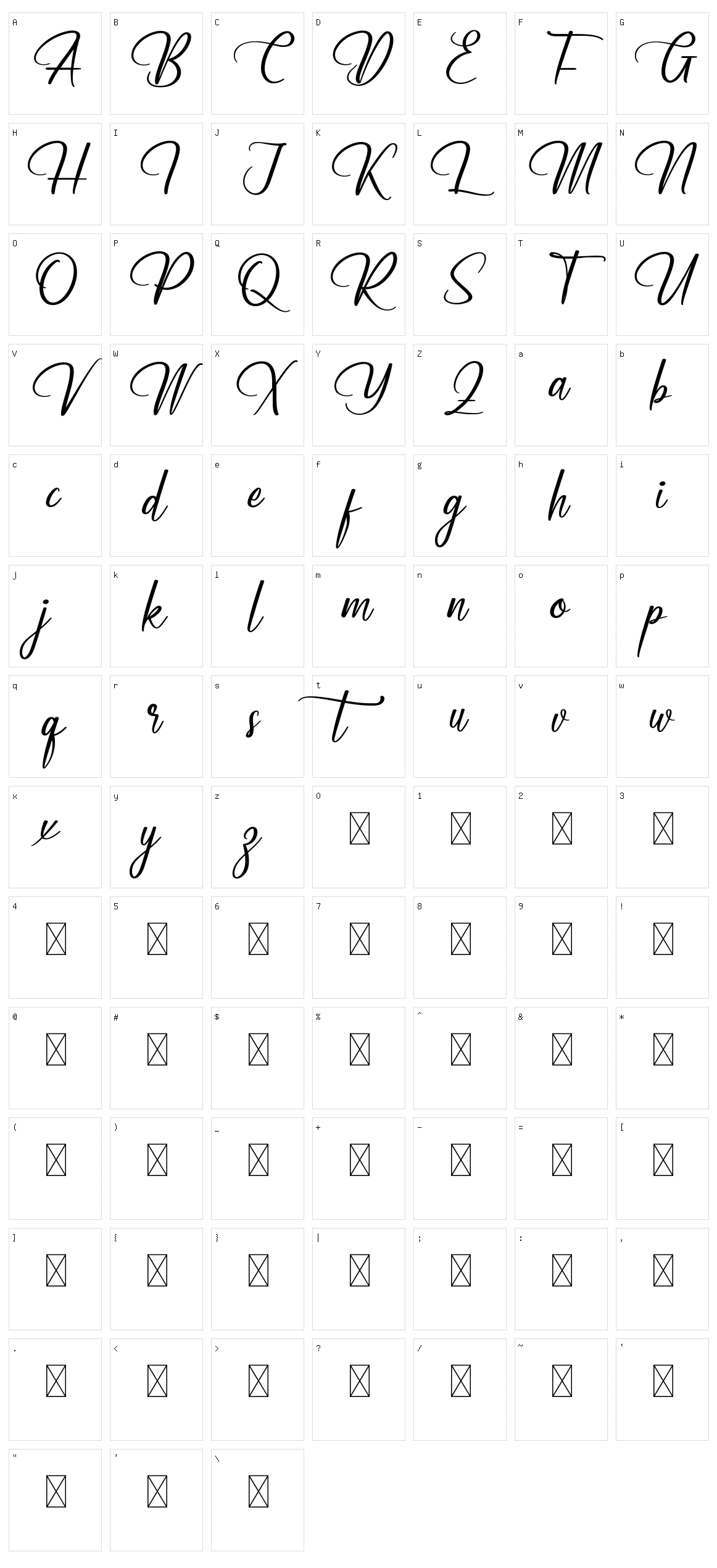 Workday Character Set