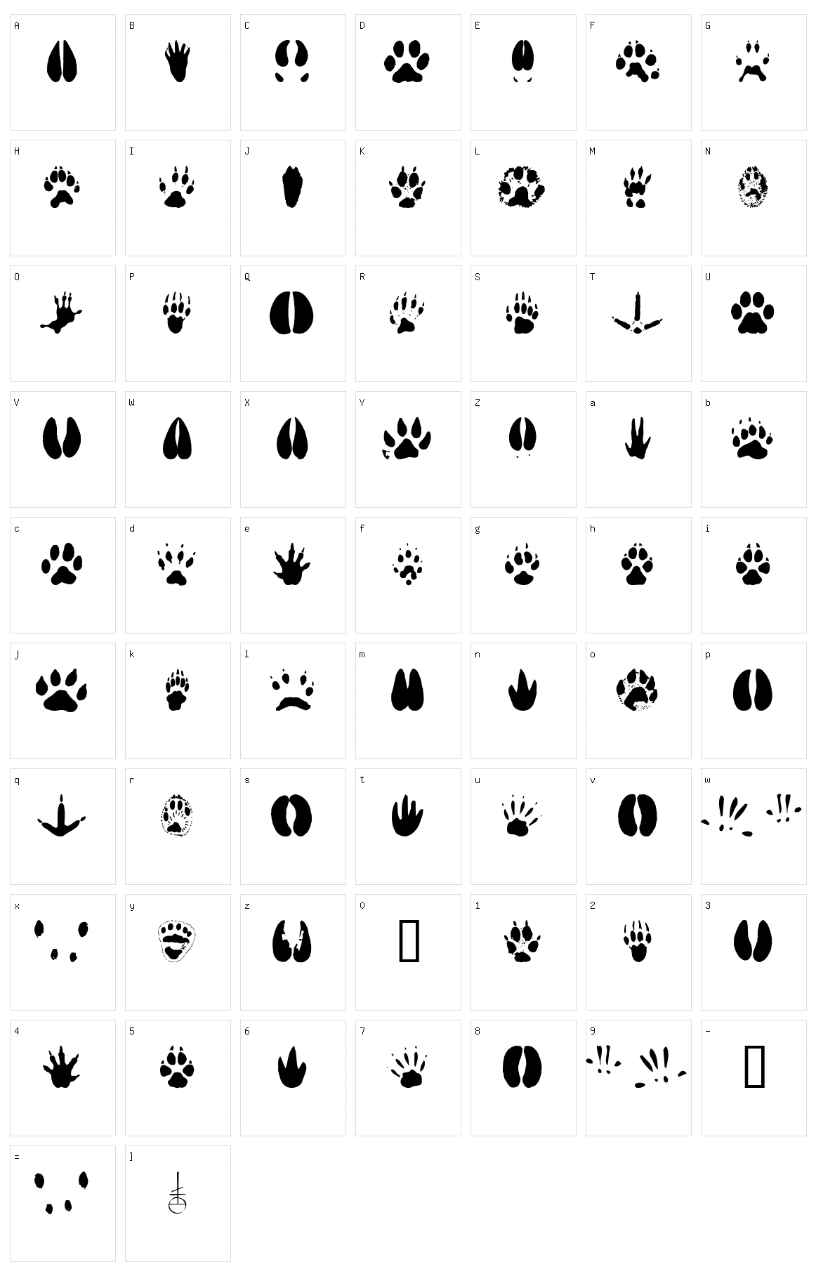 Animal Tracks Character Set