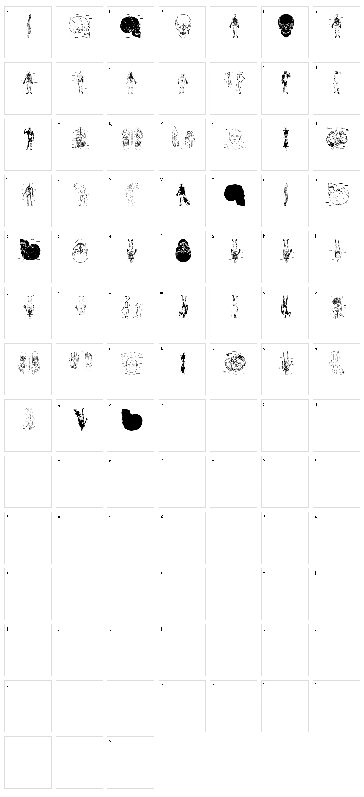 TaxTaxation  Character Set