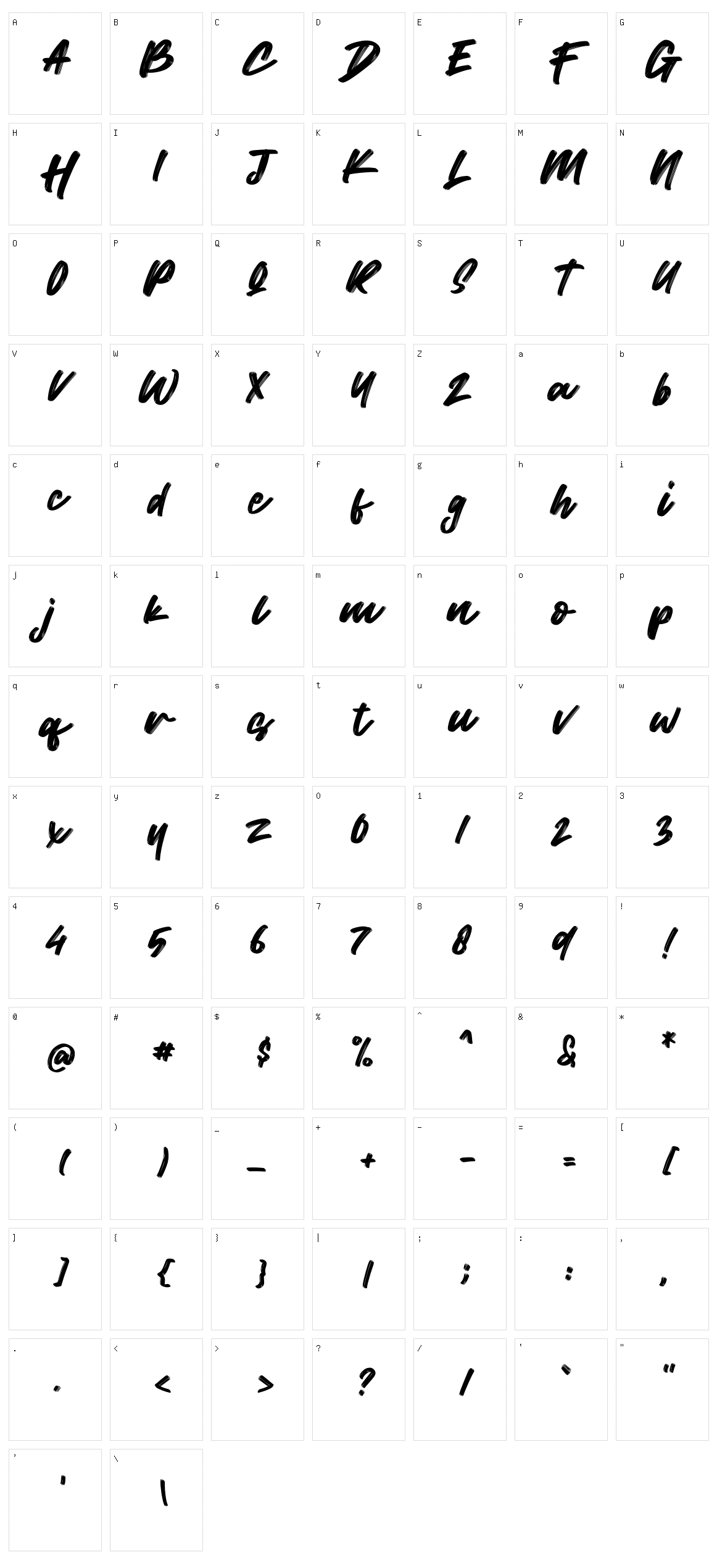 Wild Youth Character Set