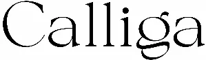Calliga