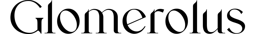 Glomerolus