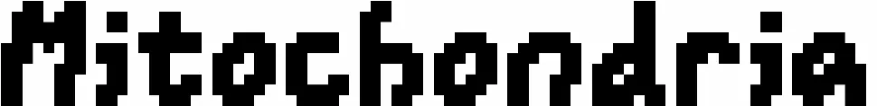 Mitochondria