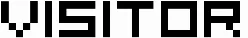 Visitor