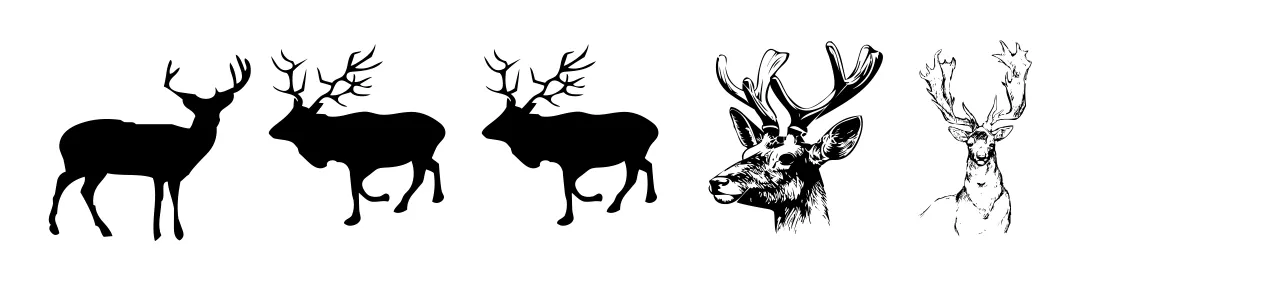 Deers