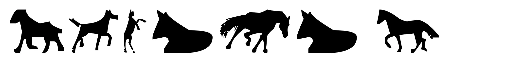 Horses 1