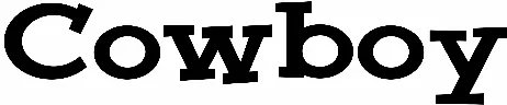 Cowboy
