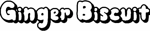 Ginger Biscuit