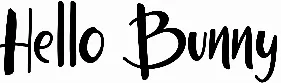 Hello Bunny
