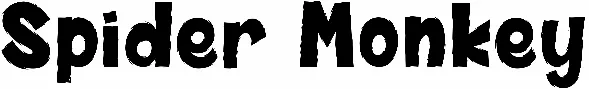 Spider Monkey