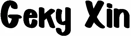 Geky Xin