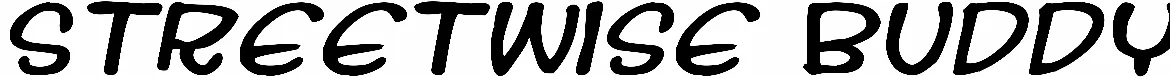 Streetwise Buddy
