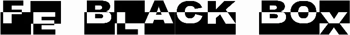 FE Black Box