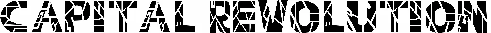 Capital Revolution