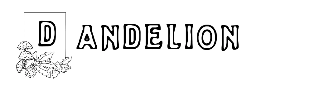 Dandelion