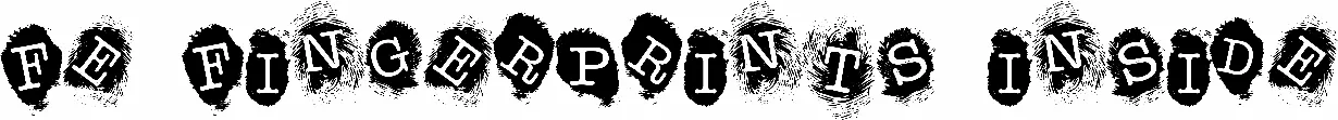 FE Fingerprints Inside