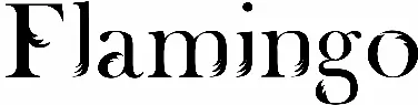 Flamingo