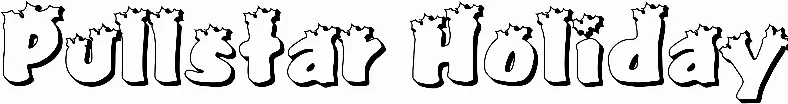 Pullstar Holiday