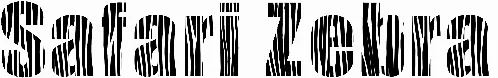 Safari Zebra