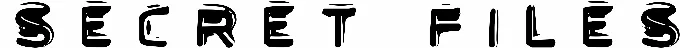 Secret Files
