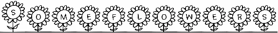 Someflowers