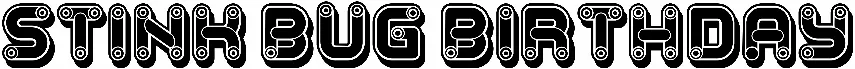 Stink Bug Birthday