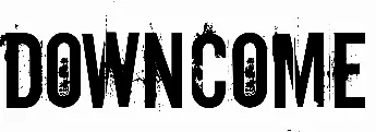 Downcome