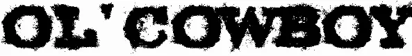 Ol' Cowboy