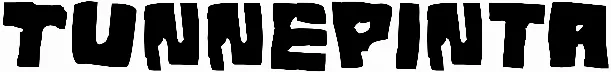 Tunnepinta