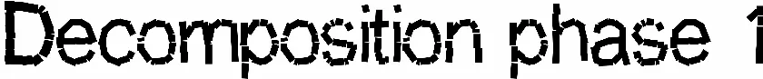 Decomposition phase 1