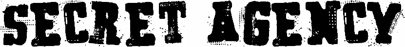 Secret Agency