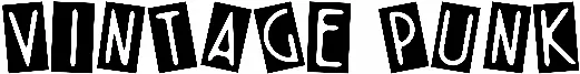Vintage Punk