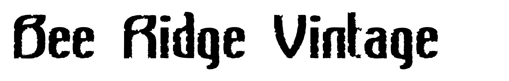 Bee Ridge Vintage