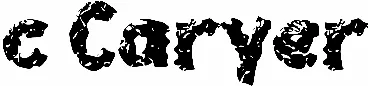 c Caryer