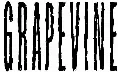Grapevine