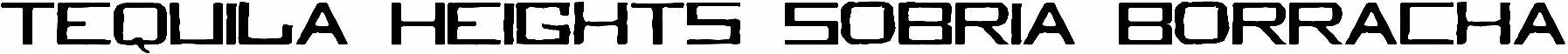 Tequila Heights Sobria Borracha