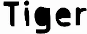 Tiger